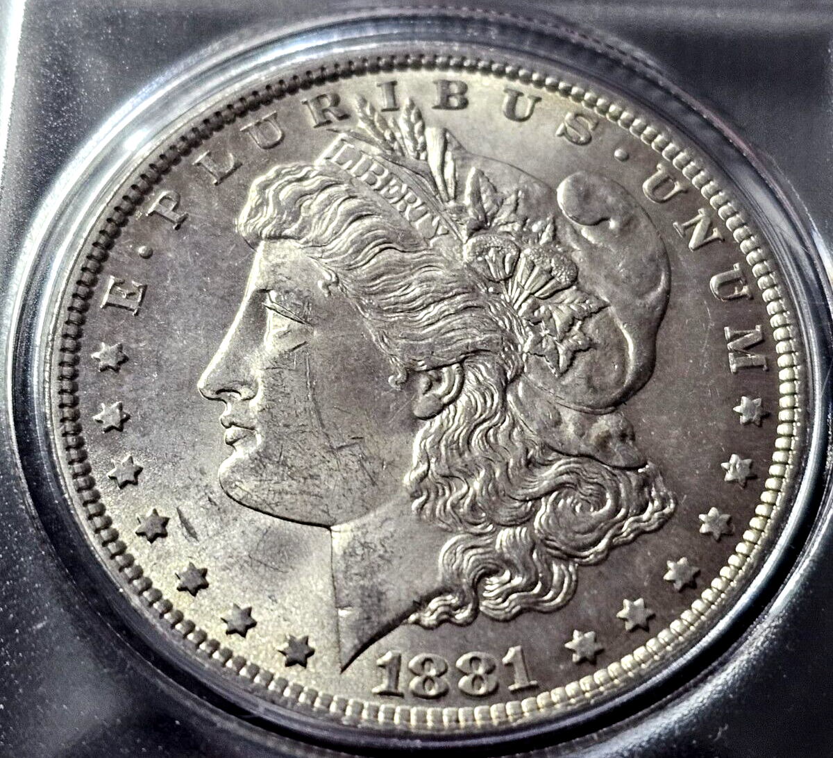Morgan Silver Dollar | Random Pre-1921 BU