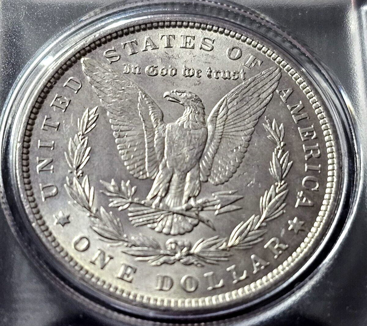 Morgan Silver Dollar | Random Pre-1921 BU