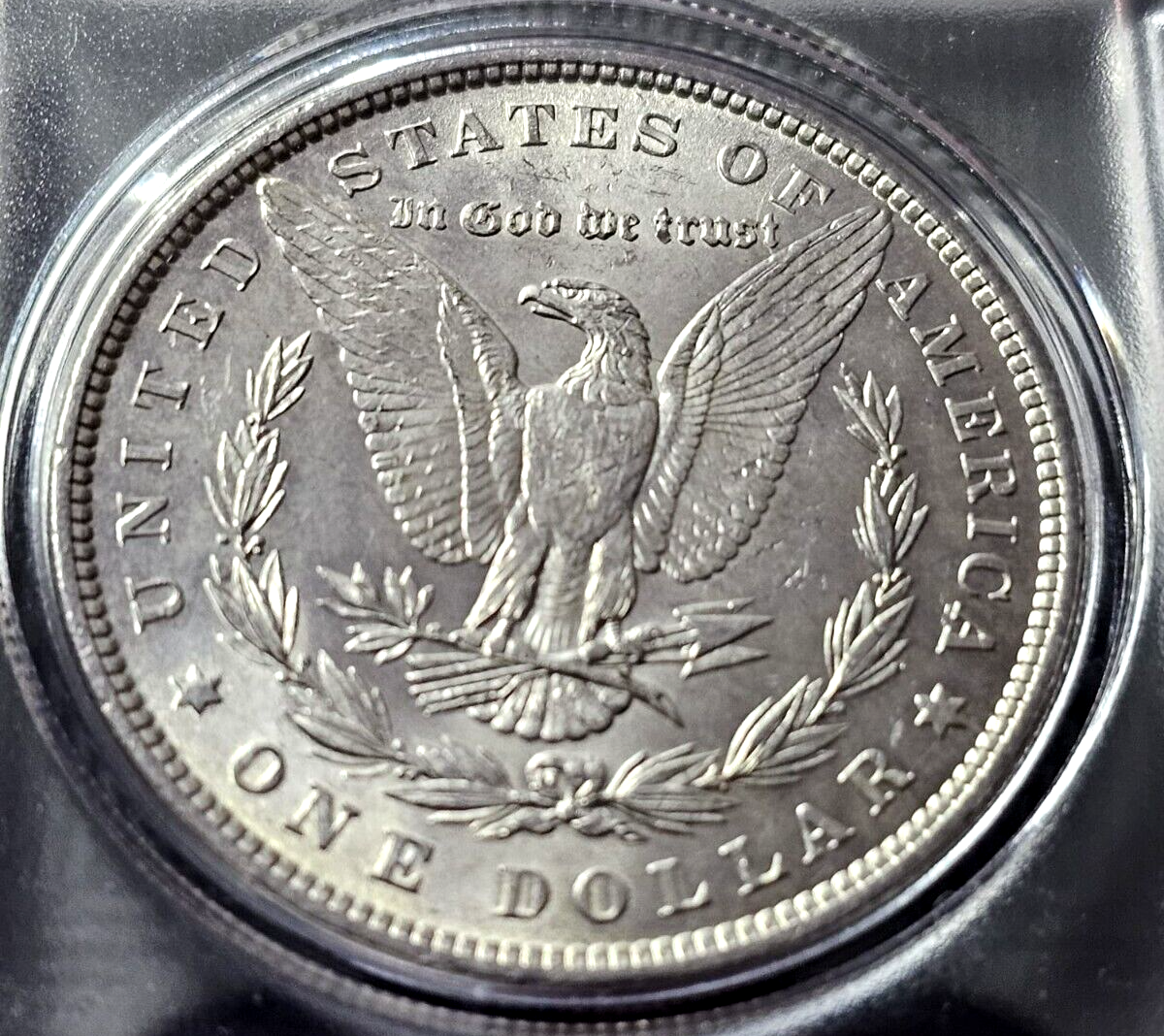 Morgan Silver Dollar | Random Pre-1921 BU