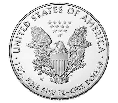 1996 1 oz American Silver Eagle Coin