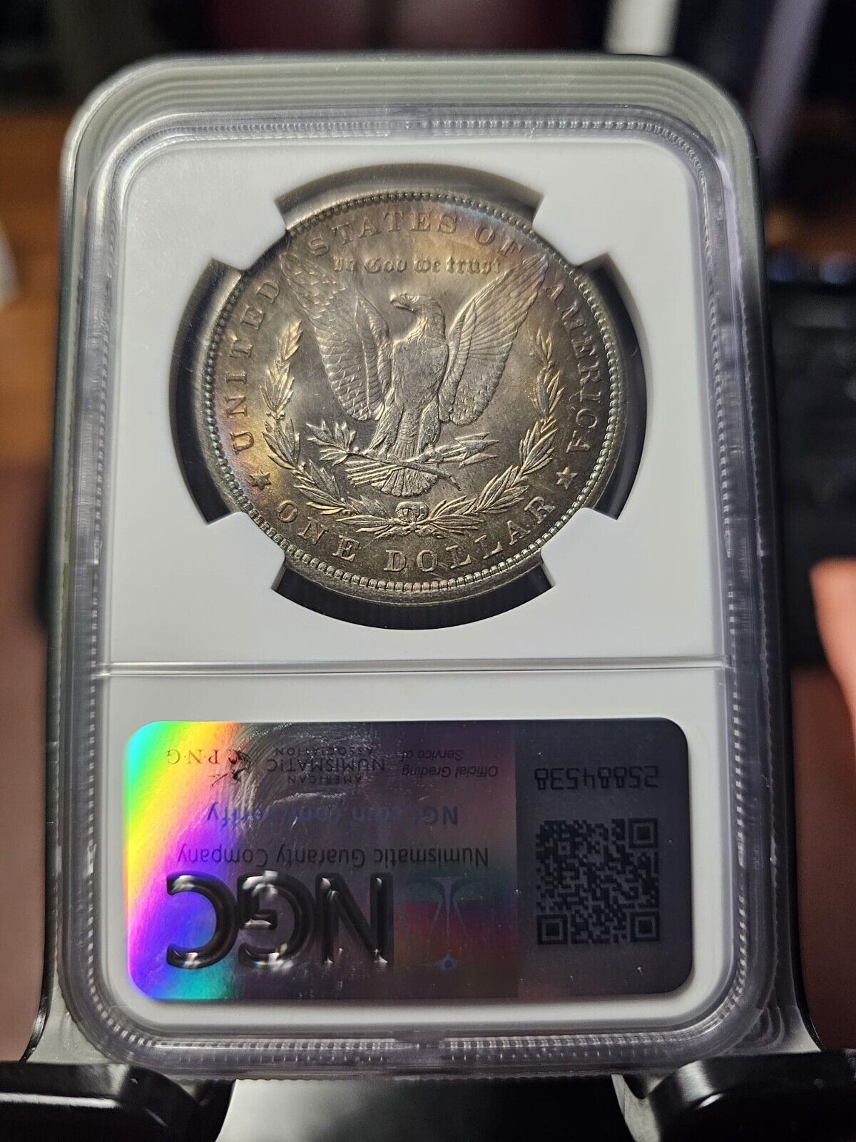 1900 Morgan Silver Dollar | NGC MS63 | Sunset Toning Errors