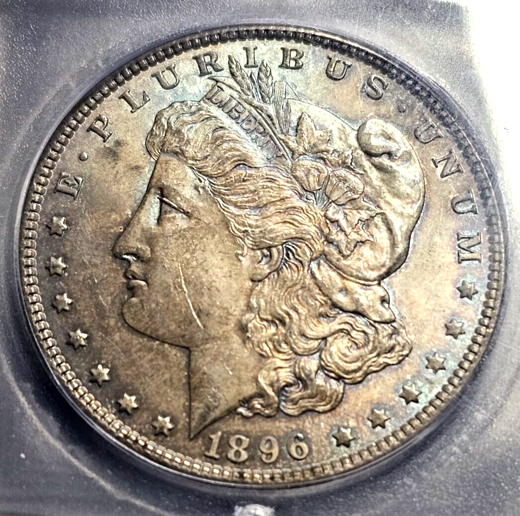 1896 Morgan Silver Dollar | ICG MS63 | Rainbow Toning | Errors | VAM