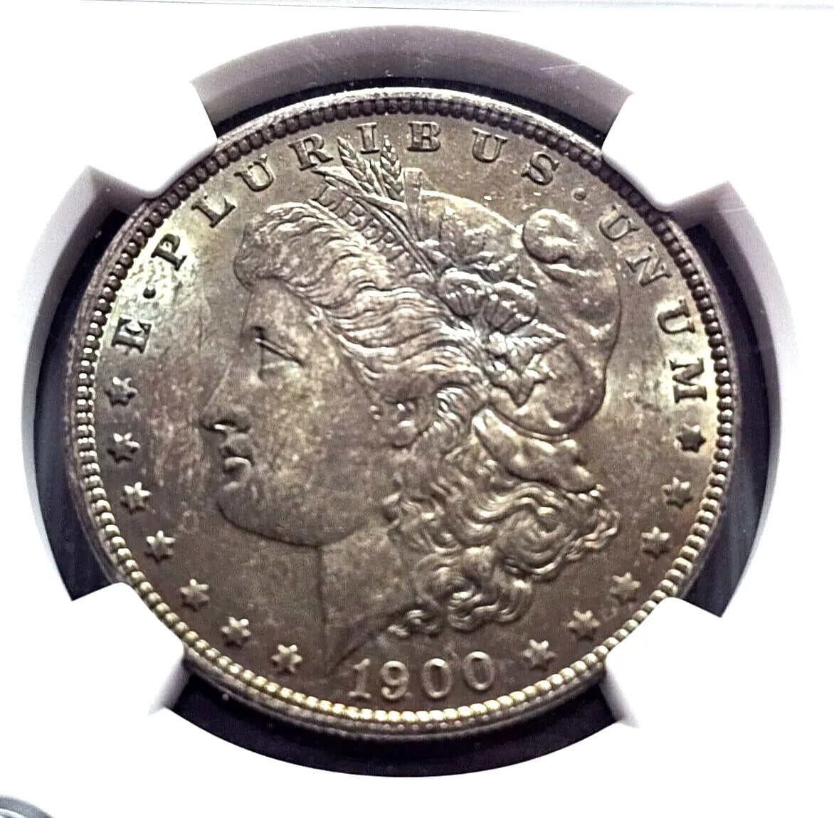 1900 Morgan Silver Dollar | MS63 | Toned