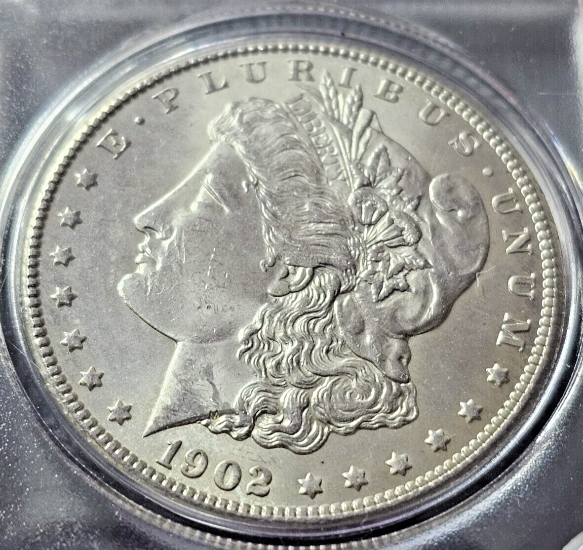 Morgan Silver Dollar | Random Pre-1921 BU