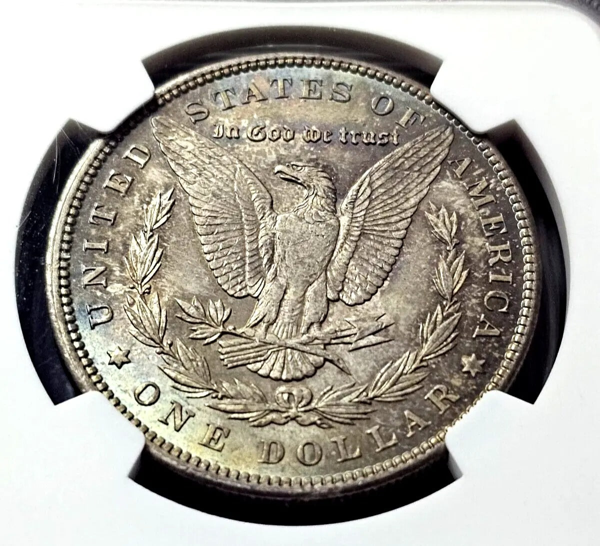 1900 Morgan Silver Dollar | MS63 | Toned