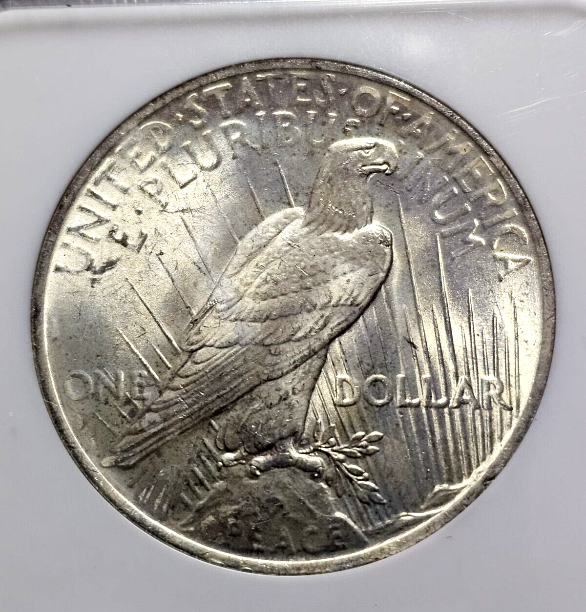 1923 Peace Silver Dollar | NGC MS63 | Toned Luster Nice | Classic Soap Box $1