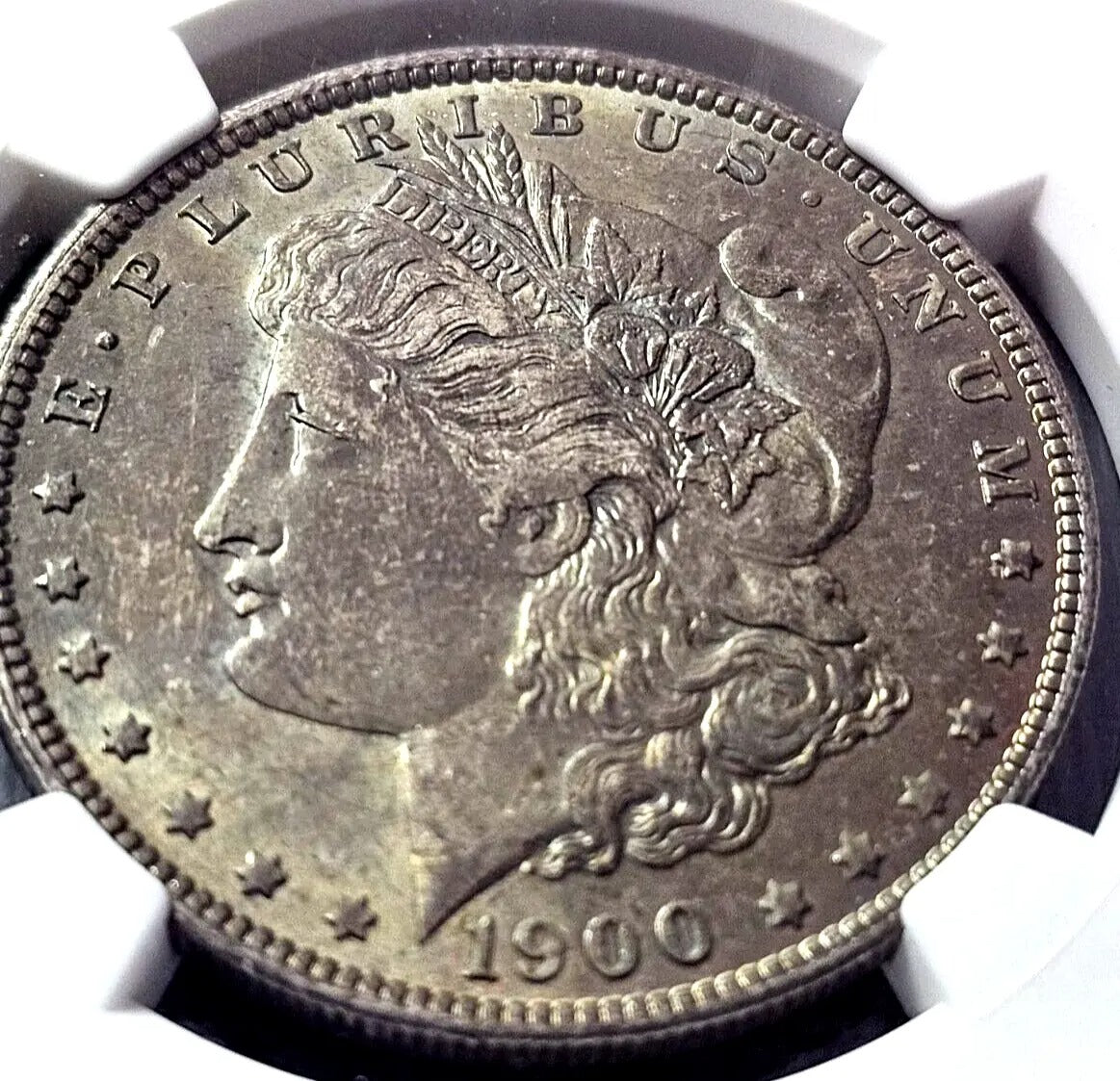 1900 Morgan Silver Dollar | MS63 | Toned