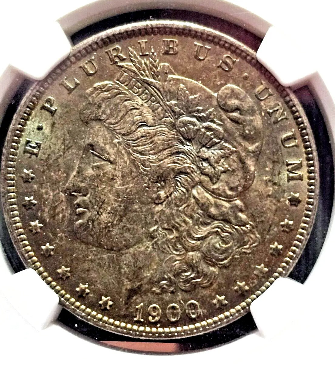 1900 Morgan Silver Dollar | MS63 | Toned