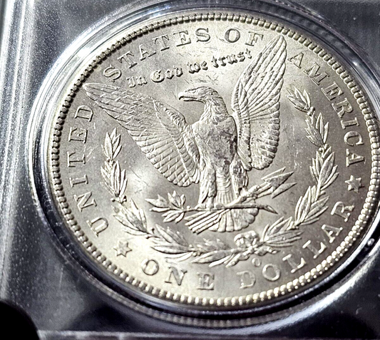 Morgan Silver Dollar | Random Pre-1921 BU