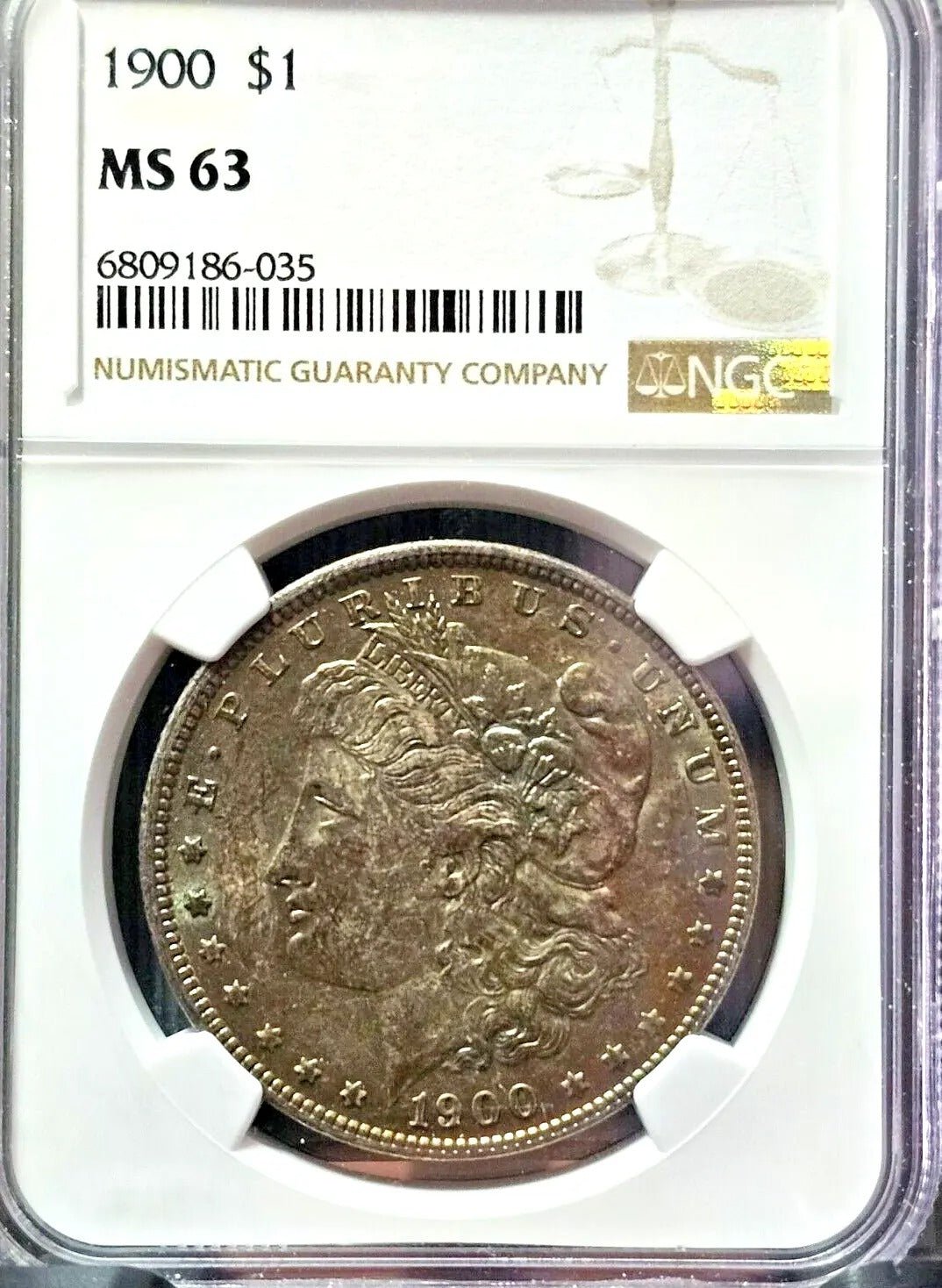 1900 Morgan Silver Dollar | MS63 | Toned